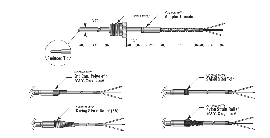 Capsule RTD with Transition w/ Extension Cable and Welded Process Fitting Details