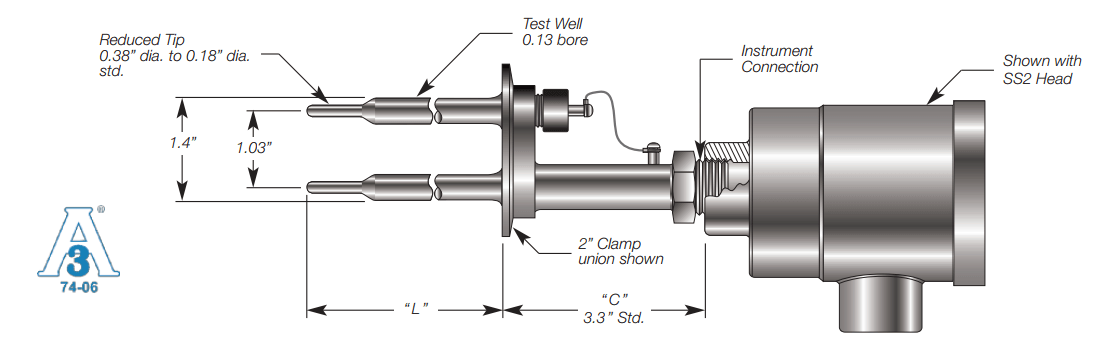 Sanitary RTD w/ Connection Head and Integral Test Well Details