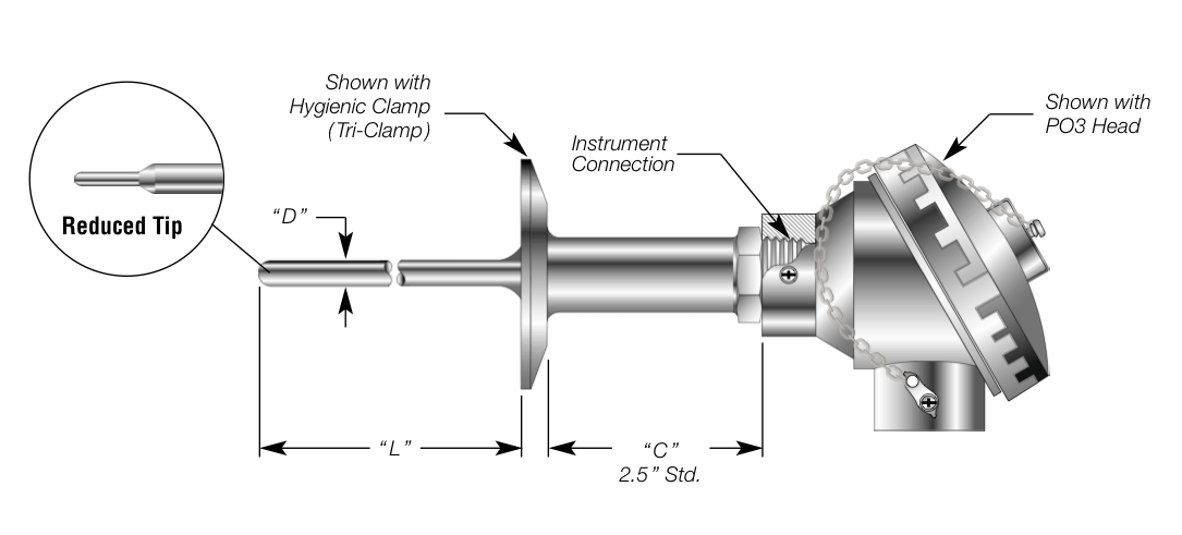 Sanitary RTD w/ Connection Head Details